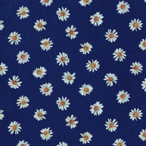Kinoko Teikoku "Long Goodbye" LP Cobalt Blue Vinyl OBI Japan Shoegaze / Indie