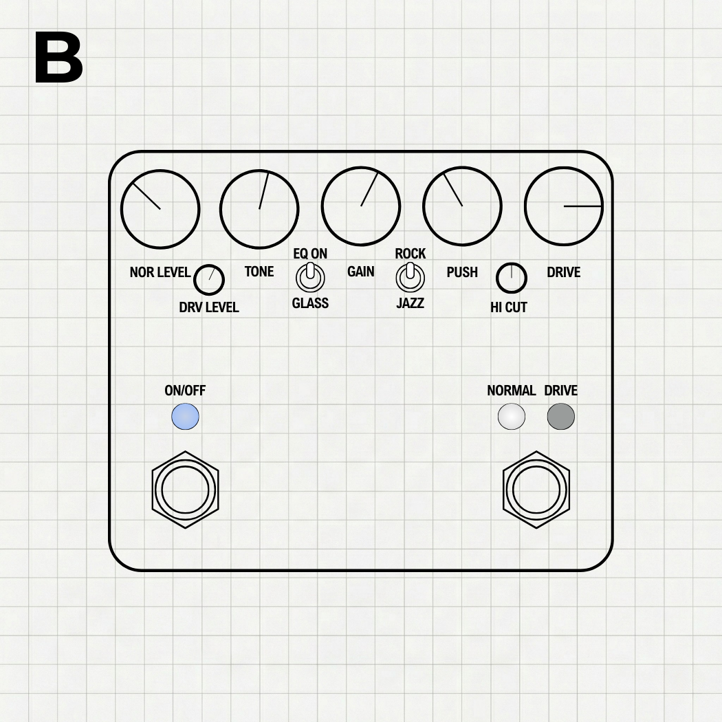 FTT LANDRIVE 9V/12V/18V included | Digital Captures (Inspired by Free The Tone OVERDRIVELAND)